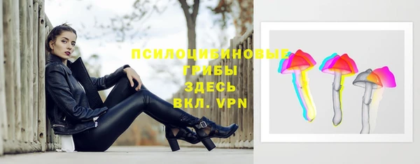 амф Бронницы