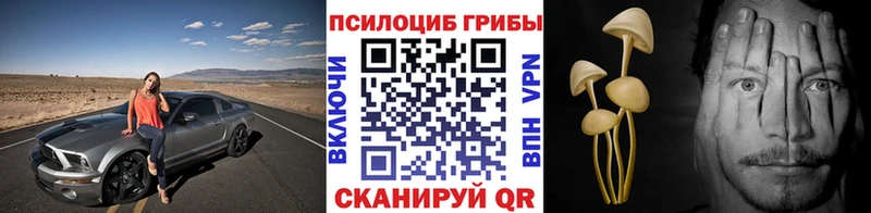 Галлюциногенные грибы Psilocybe  цены наркотик  МЕГА ссылки  Гурьевск 